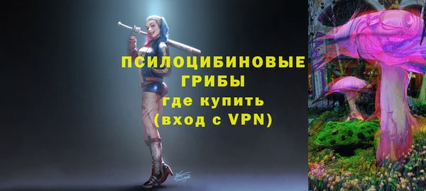 гашик Ступино