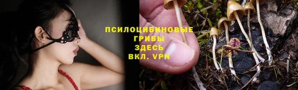 кокаин перу Дмитриев