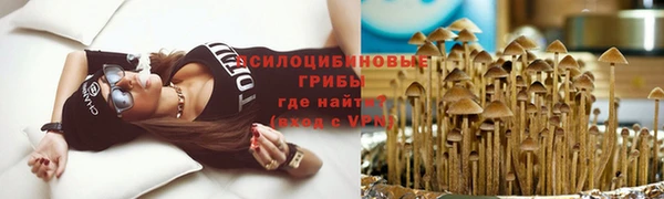 ГАЛЛЮЦИНОГЕННЫЕ ГРИБЫ Дмитров